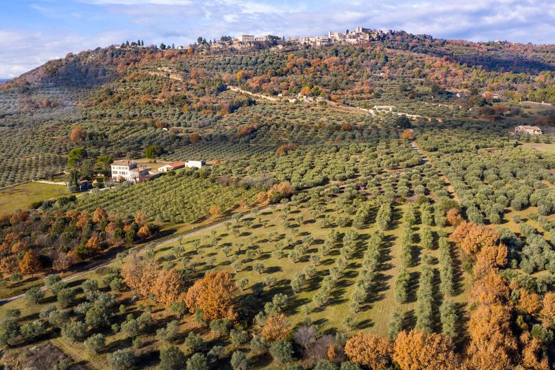Vue aérienne du village de Lurs avec ses vergers d'oliviers au premier plan.
